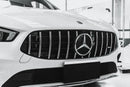 Mercedes A Class GT Grille Panamericana Silver W177 19'+